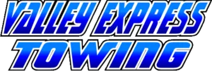 valley express logo 2024b