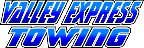 valley express logo 2024b